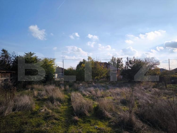 Teren Construcții intravilan de 1600 mp, în Cernele