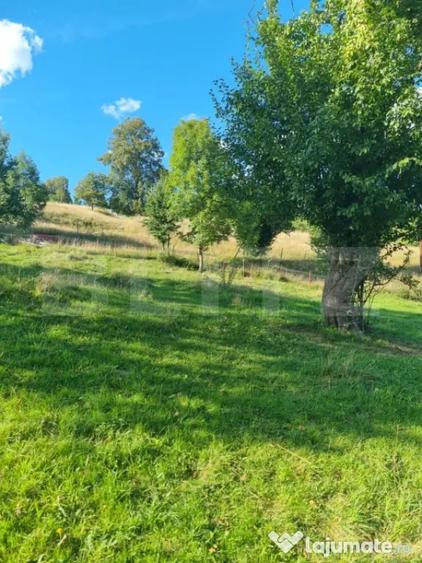 Teren intravilan, zona superba din Campulung Moldovenesc - 4
