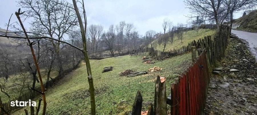 Teren intravilan Valea Doftanei - Malul Negrasului - 1