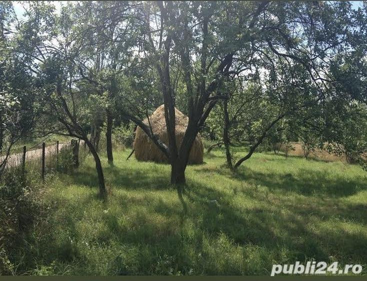 Teren de 5000 mp, în Racâș
