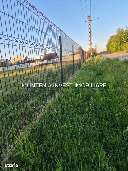 Teren de 3533 mp, în Poiana Lacului