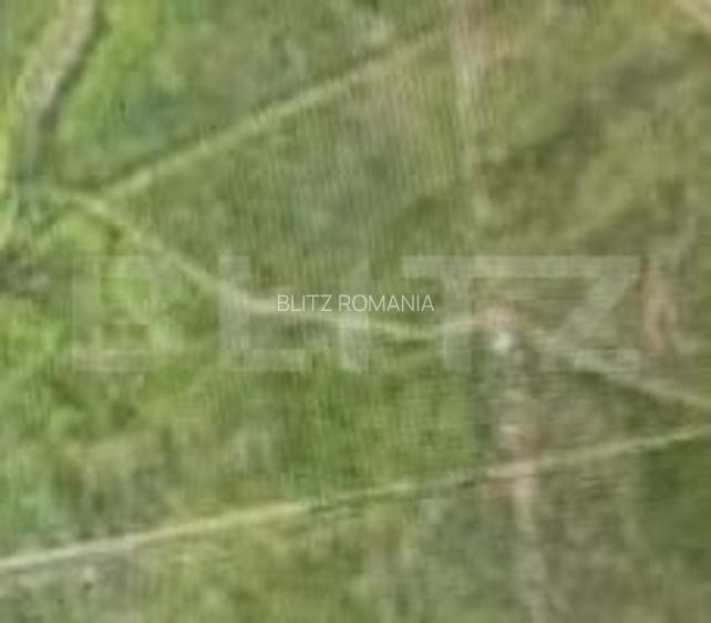 Teren 7500 mp, Schitu Duca, la strada principala Iasi-Vaslui DN 24