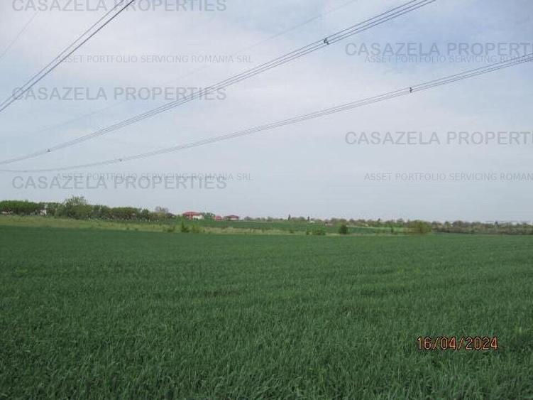 Teren agricol extravilan de 2000 mp, în Frumușani