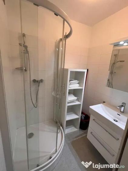 Apartament cu 2 camere de inchiriat in zona Gorjului - 2