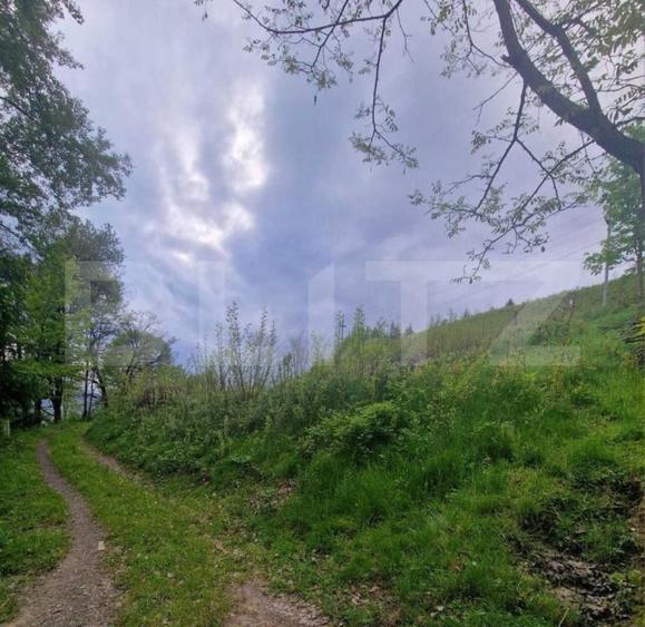 Teren Construcții intravilan de 1585 mp, în Câmpeni