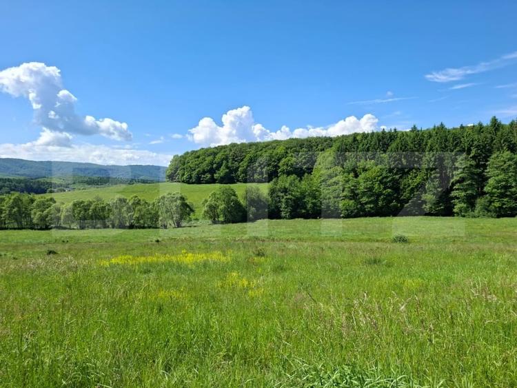 Teren Construcții intravilan de 680 mp, în Dumbrăvița