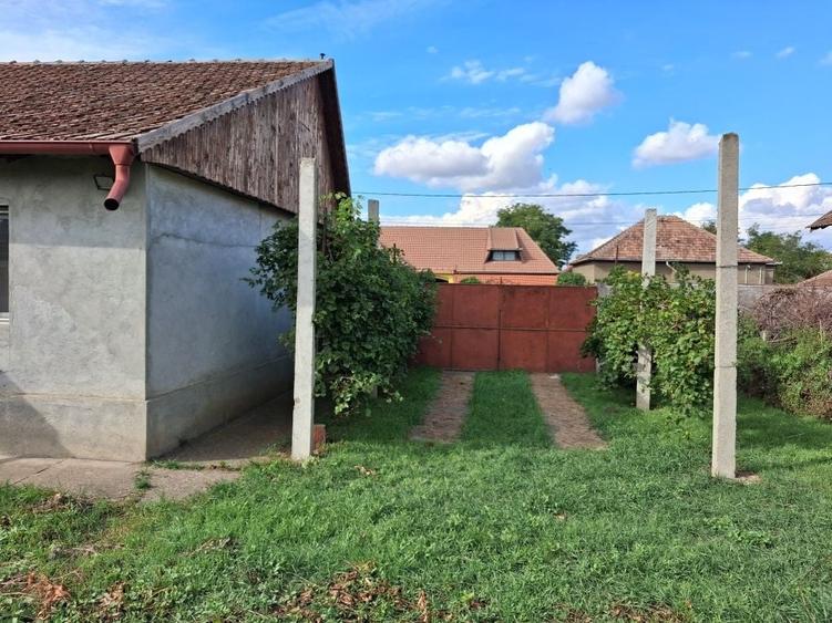 Casă cu 2 camere în Iratoșu