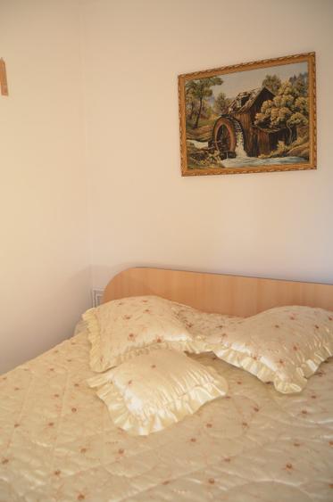 Duplex cu 5 camere cu Teren 300 Mp în Central
