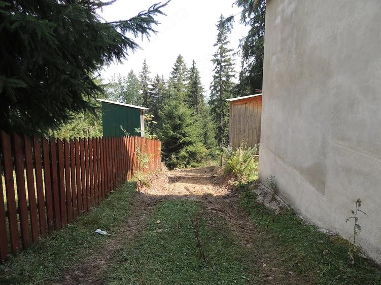 Teren in statiunea Muntele Baisorii, Cluj - 2