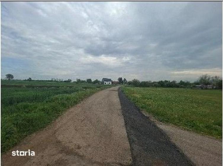 Teren de 10000 mp, în Valea Râmnicului