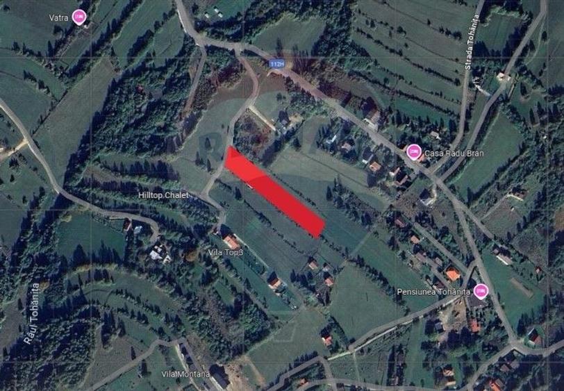 Teren Construcții intravilan de 4223 mp, în Tohănița