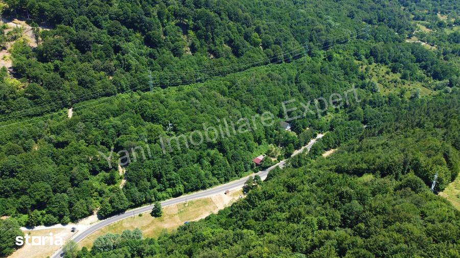 Teren de vanzare pe Transfagara?an ( 75.200 mp ) - 11