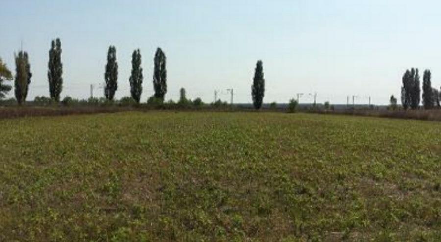Teren Construcții intravilan de 2100 mp, în Dârza