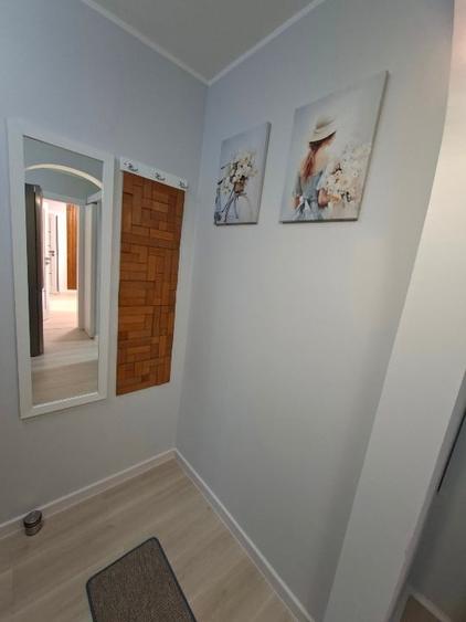 Apartament cu 2 camere, mobilat în Rovine