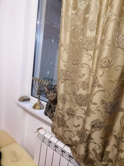 Apartament cu 3 camere decomandat în Calea Romanului