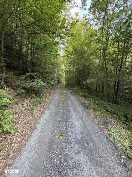 Teren de 338 mp, în Central