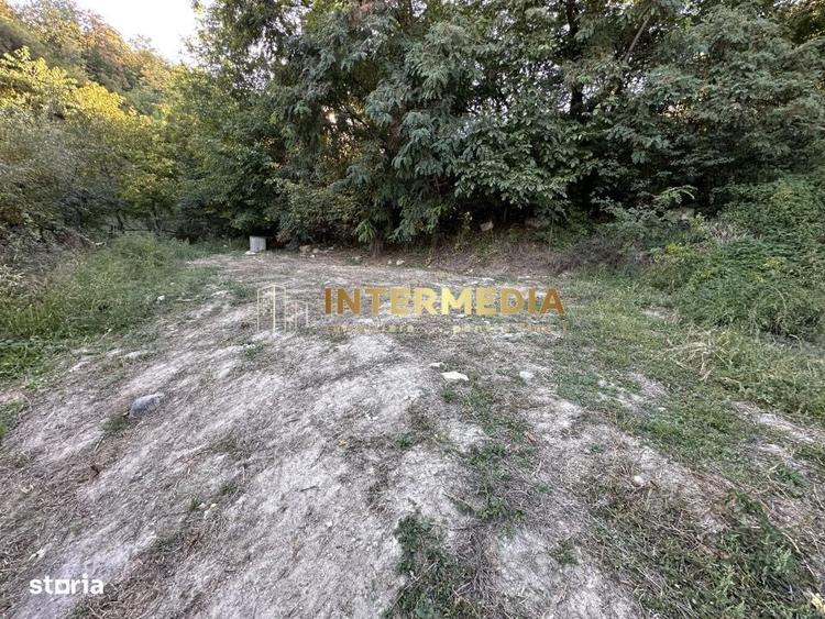 Spațiu comercial, în Țelna