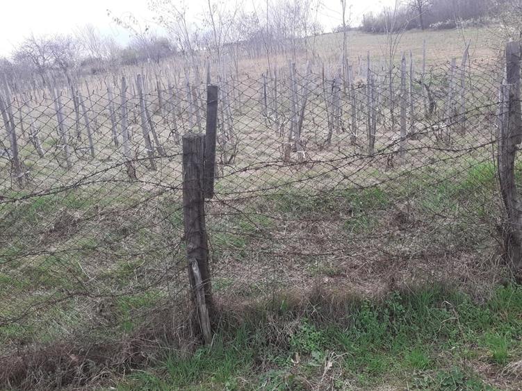 Teren de 760 mp, în Central