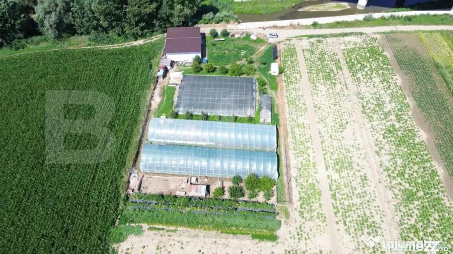 Teren extravilan 14.000 mp, Drambar Ciugud | solarii, f - 1