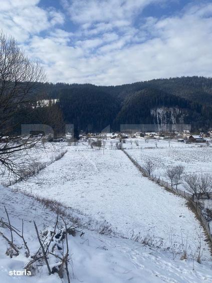 Teren intravilan, 7500 mp, zona Vatra Dornei - 4