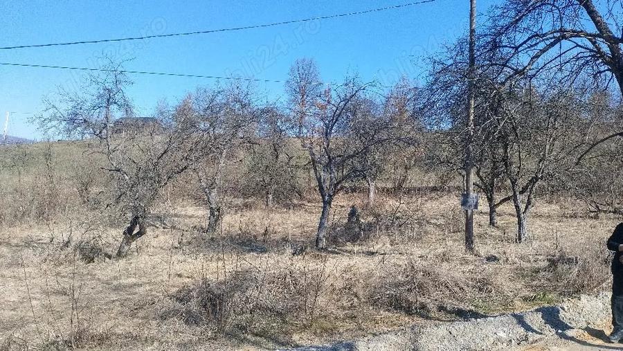 Teren de 1600 mp, în Vișeu de Mijloc