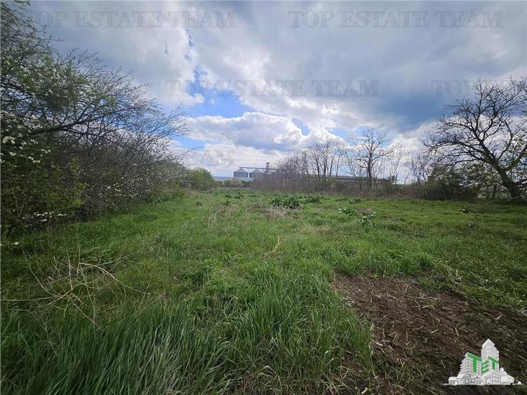 Teren agricol intravilan de 3846 mp, în Topraisar