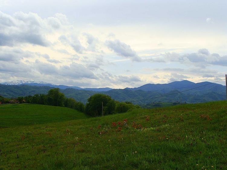 Teren cu PUZ, 11600mp, Brasov Poiana Marului, pe ruta via Transilvanica - 8
