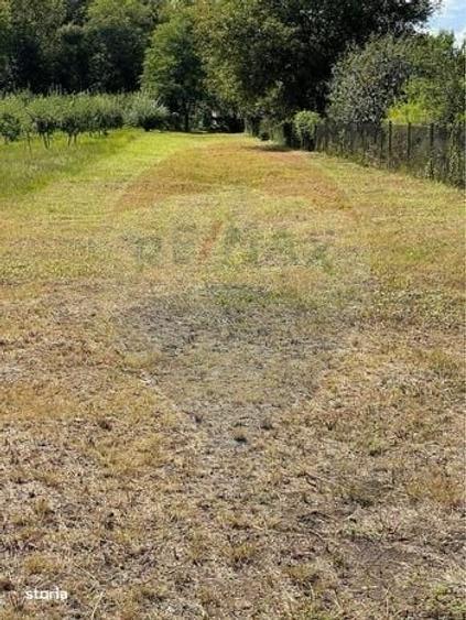 Casă cu 3 camere în Valea Cufundoasă