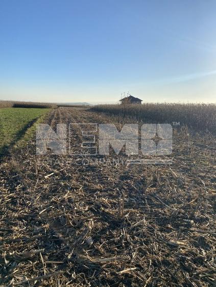 Teren Construcții intravilan de 1400 mp, în Frătăuții Vechi