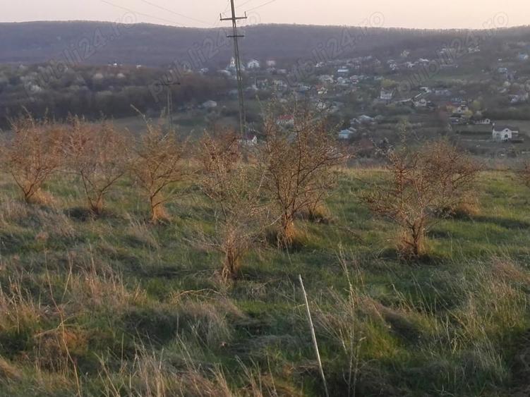 Teren de 17300 mp, în Mănăstirea Doamnei