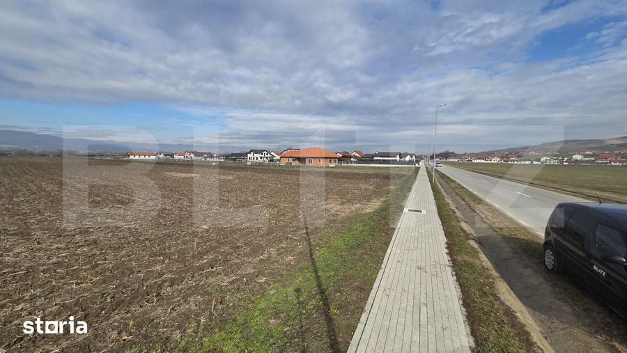 Teren pentru investitie | +14.000 mp | Ciugud zona in plina dezvol - 6