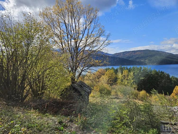 Teren de 5500 mp, în Buhalnița