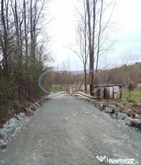 Teren în Ciurila