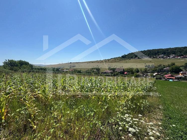 Teren, 1734mp, intravilan, zona Remetea - 3