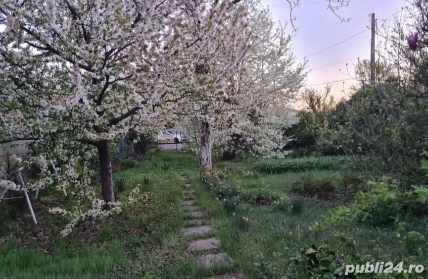 Teren de 1650 mp, în Central
