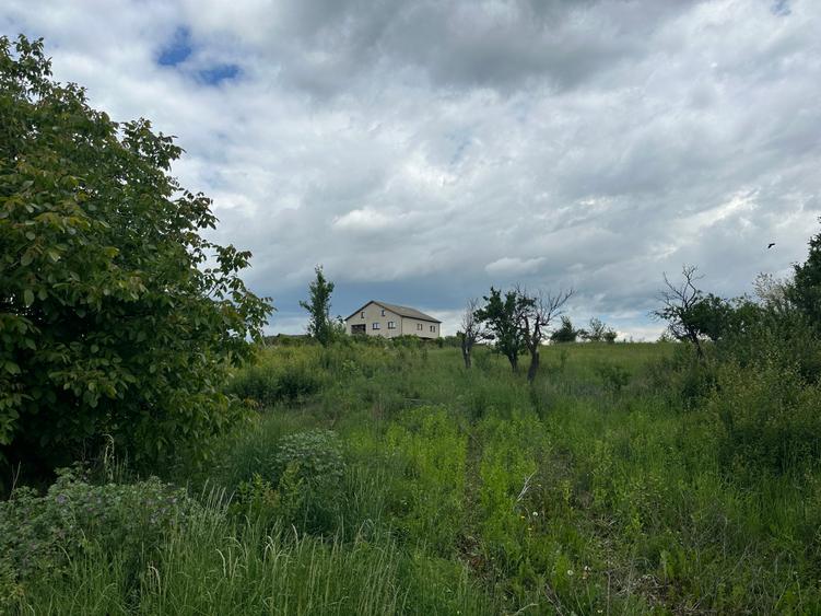 Teren Construcții intravilan de 473 mp, în Albota