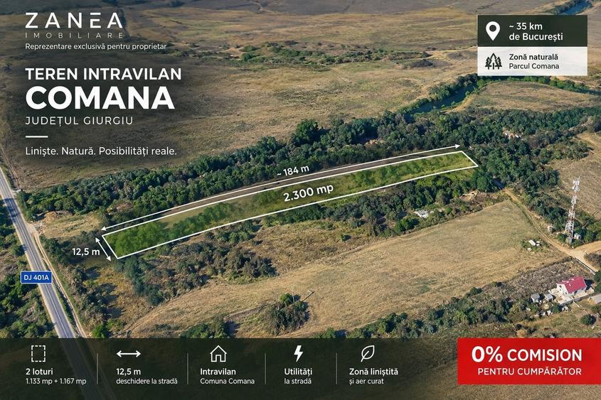 Teren Construcții intravilan de 2300 mp, în Comana