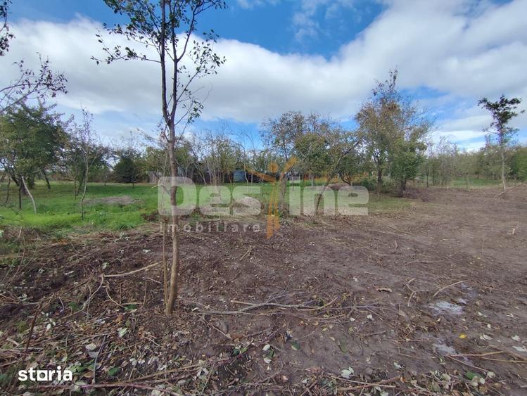 Teren de 750 mp, în Păulești