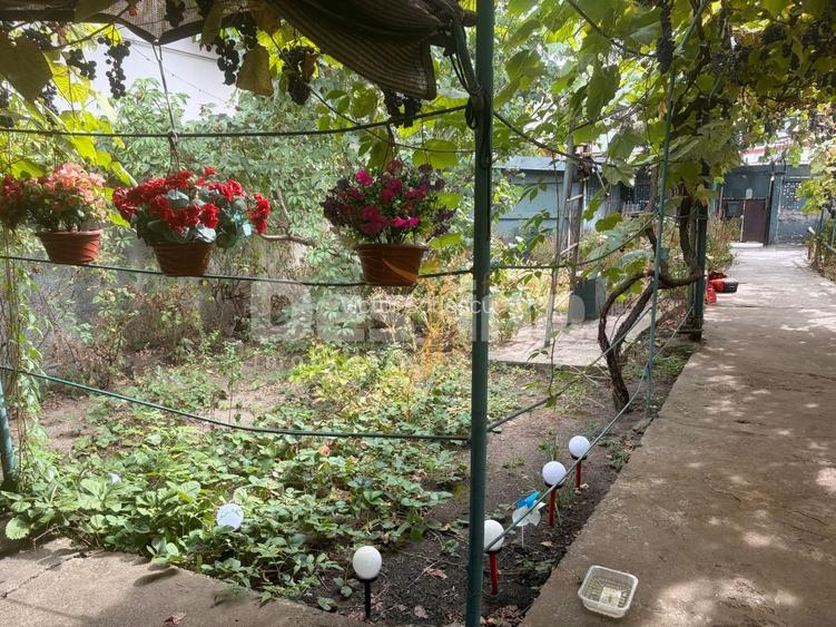 Teren cu construcții și potențial de dezvoltare | Ciupercă – Domenii