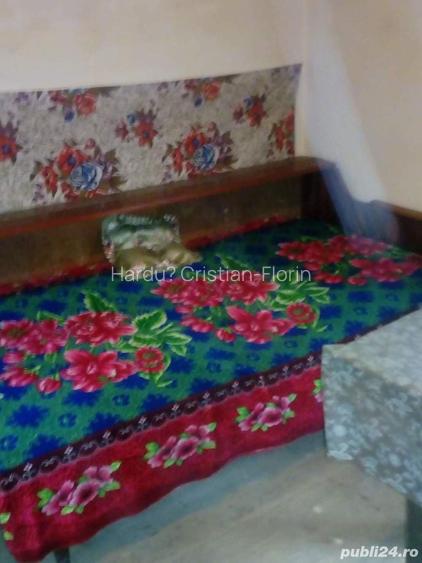 Casa cu 2 Camere, Curte Generoasa ,Camara ?i Pivni?a - Localitatea Talagiu, Jude?ul Arad