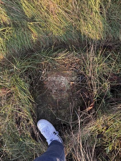 Teren intravilan giarmata 980 mp 24m fs toate utilitatile