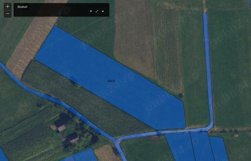 Teren de 7500 mp, în Horodnic