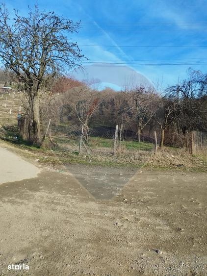 Teren de 1736 mp, în Bogați