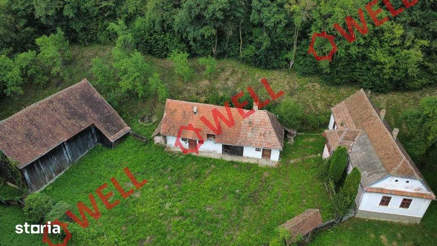 Casă cu 4 camere cu Teren 7618 Mp în Belin