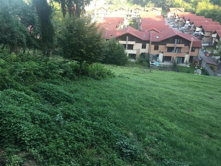 Teren Construcții intravilan de 2900 mp, în Noua