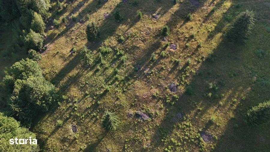 Teren de 15000 mp, în Uric