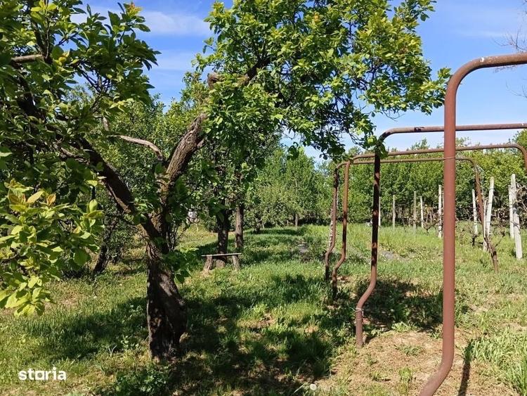 De Vanzare Casa Culciu Mare Satu Mare - 8