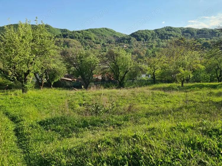 Teren de 950 mp, în Păușești