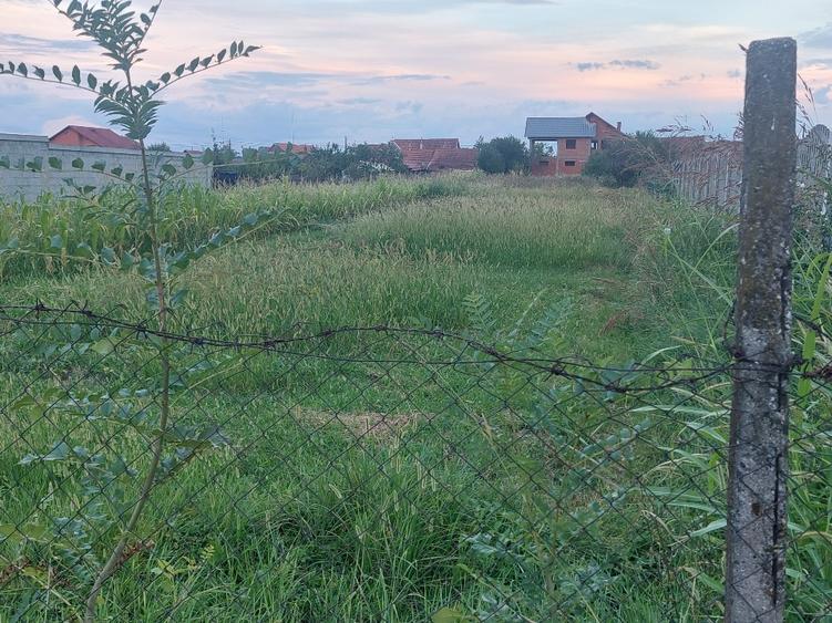 Teren Construcții intravilan în Darova