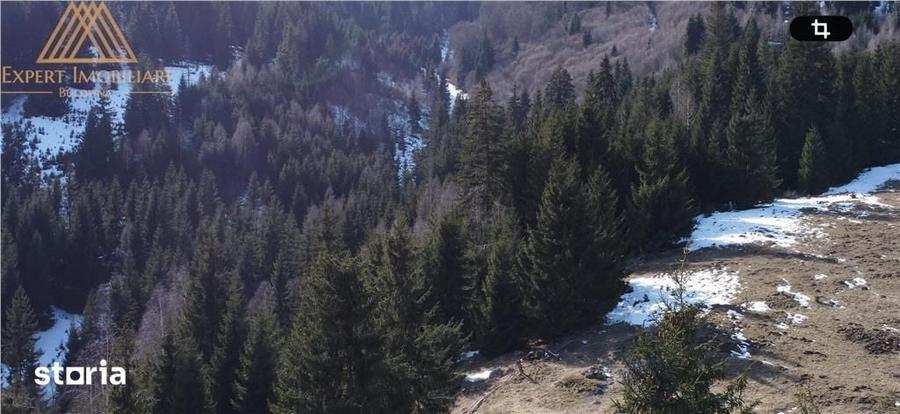 Teren de 43000 mp, în Central